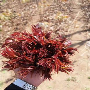 �㴻���㴻���㴻������ذ��������㴻��r��t���㴻���������