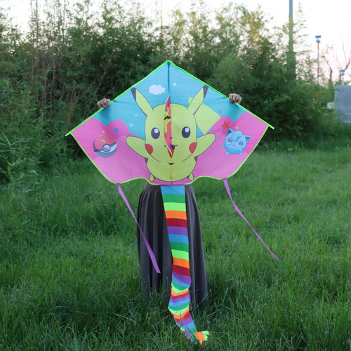 Weifang Kite Wholesale New 1.2m Curved Edge Kite Rainbow Long Tail Easy to Fly Children's Kite Street Stall Wholesale