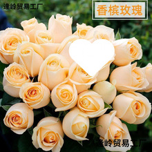 �㙉õ�������������ֱ�lˮ�B�r�л�ͬ�����f���˹�����