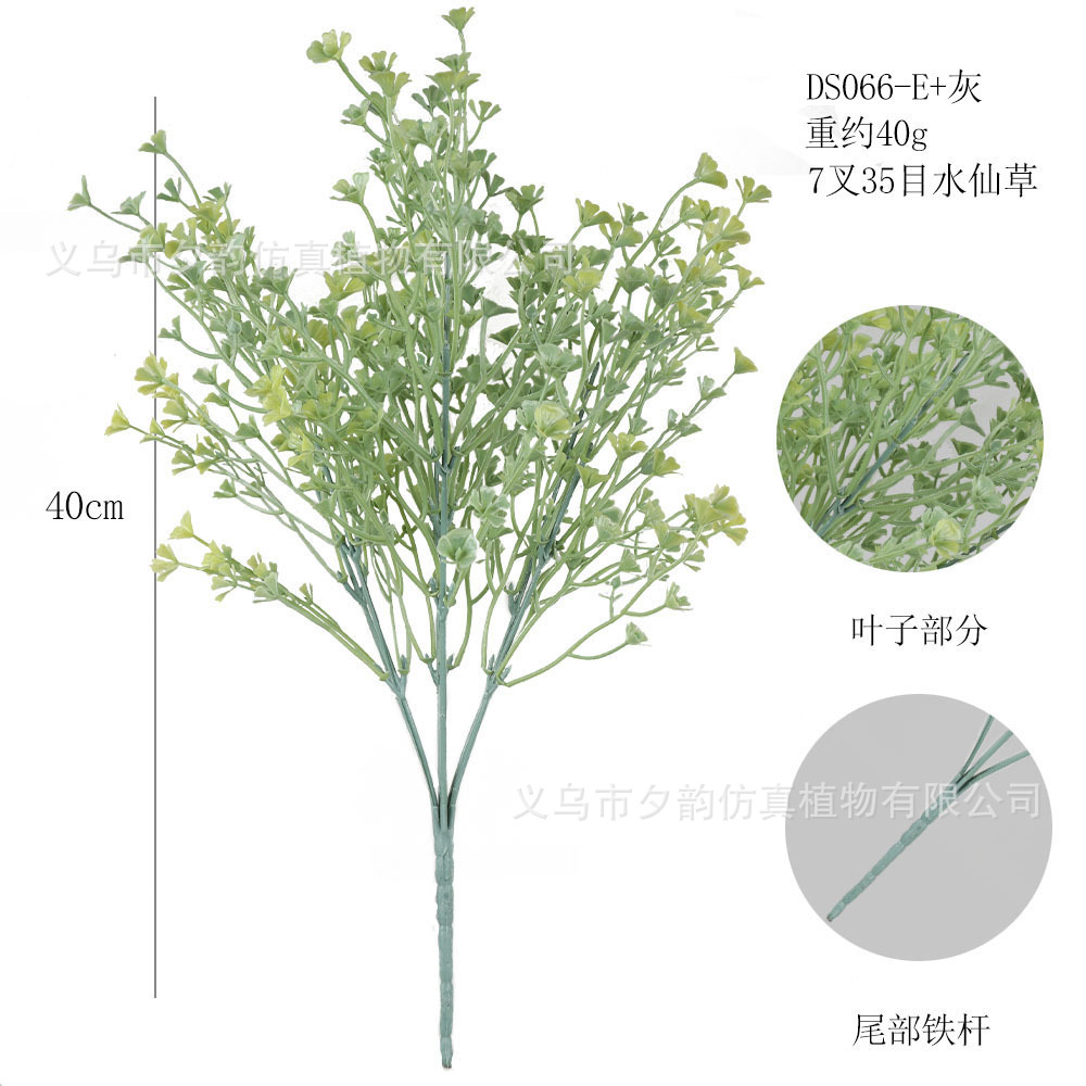 DS066-회색 녹색 7갈래 수선화