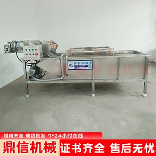 鼎信 全自动蔬菜清洗机 蔬菜净菜加工设备 不锈钢气泡清洗流水线