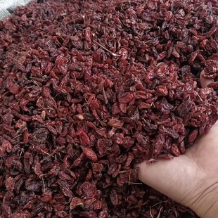 ɽ���⡾���d��ș����ș�����l������ɽ���� ɽ����