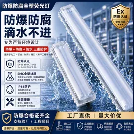 其他专用灯具;防爆灯;其他照明工业