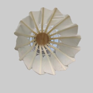 �o��S��ȫ�A����ë�����l�����ʹ�����22̖��ë��