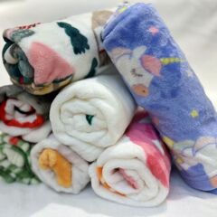 露店毛布5070ペット毛布オフィス昼寝毛布1.2子供毛布サンゴフランネル厚蓋毛布プレゼント