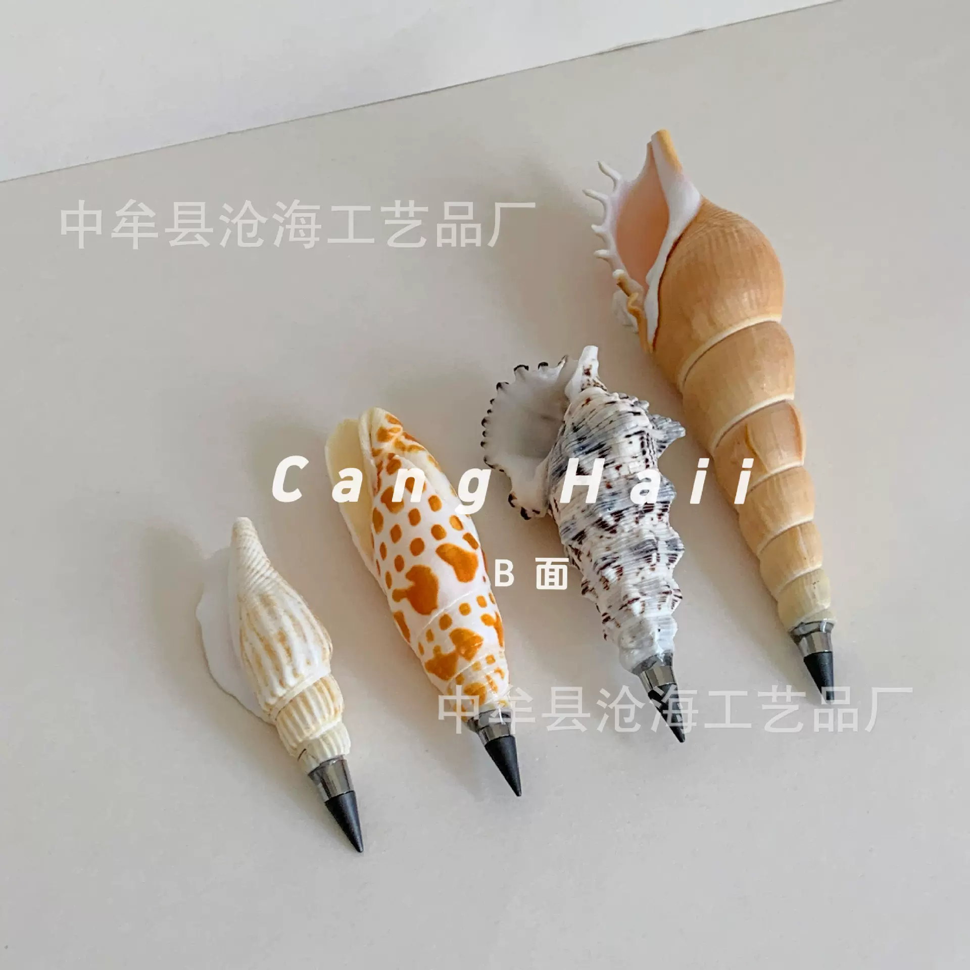 锦鲤笔螺海螺笔 长鼻螺铅笔 创意ins海螺贝壳笔长久用
