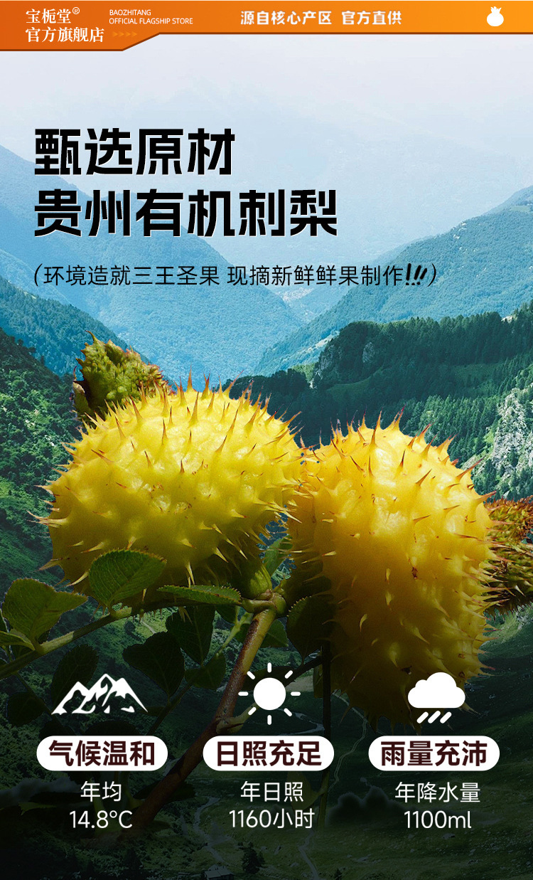 Organic Rosa roxburghii NFC Juice 30ml Sachets Guizhou Fresh Fruit Herbal Drink key features