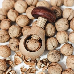 Wooden Mushroom Shaped Walnuts Wood Handle Nut Cracker Tool Walnut Nut Cracker Real Wood Dry Fruit Clip Pincers