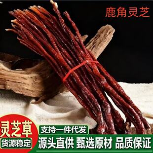¹���`֥ �`֥��500g���w�`֥�L�`֥���`֥���`֥ �`֥Ƭһ�����l