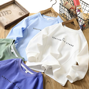 Boys' Long-Sleeved T-Shirt Autumn 2025 New Kidsren's Pure Cotton Bottoming Shirt Medium and Large Kidsren's Casual Tops Family Wear Trendy