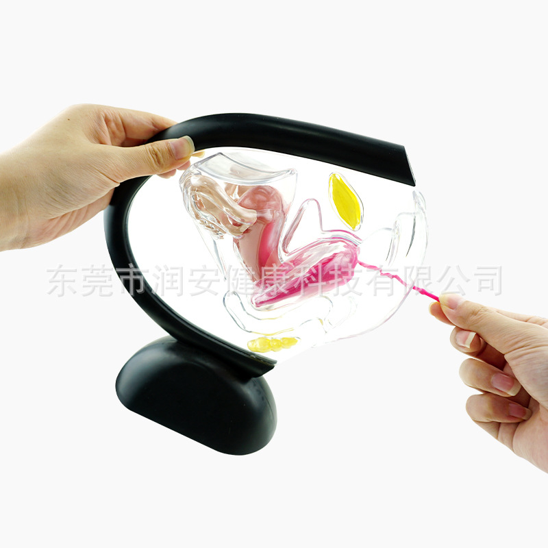 O1CN016sbnWb1CKtyRw5BNU_!!2215089500063-0-cib.jpg?__r__=1734527169796