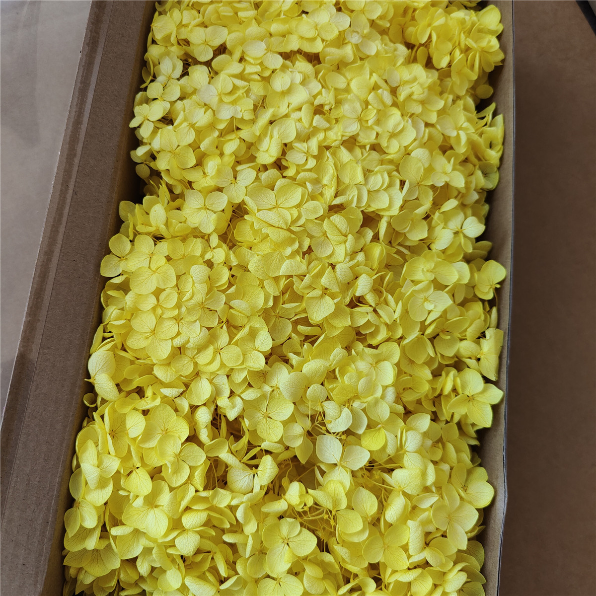 Flor eterna Hortensia Anna pequeña hoja flor seca flor real árbol de Navidad ventilador hecho a mano ramo DIY material paquete flor