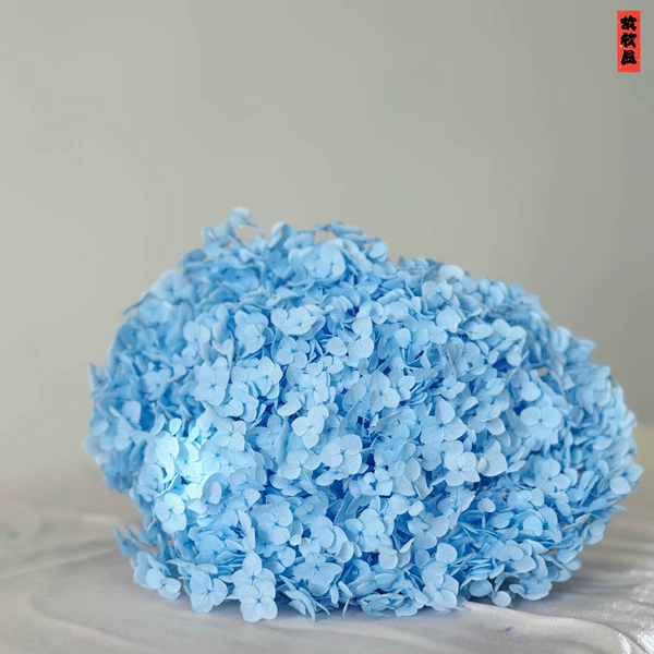 Blue blue/support