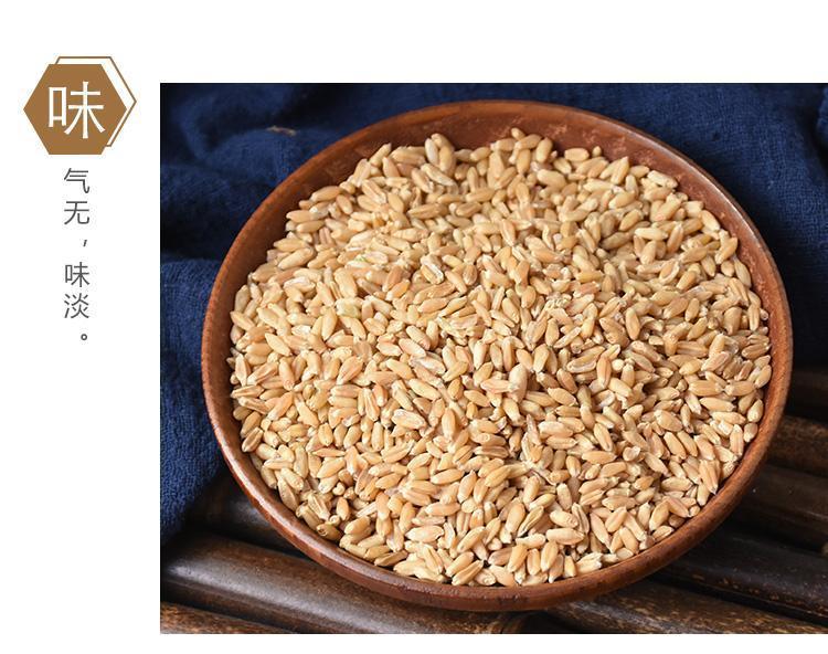 Huai Wheat Grain 500g Huai Xiao Mai Triticum aestivum Dried Chinese Herb for Decoction and Culinary Use in use