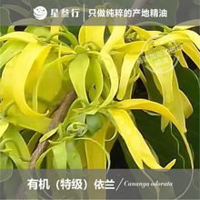 �ЙC���m���m�ؼ������R�_��˹�Ӯa�ط������η���Ħ����ԭ�����l