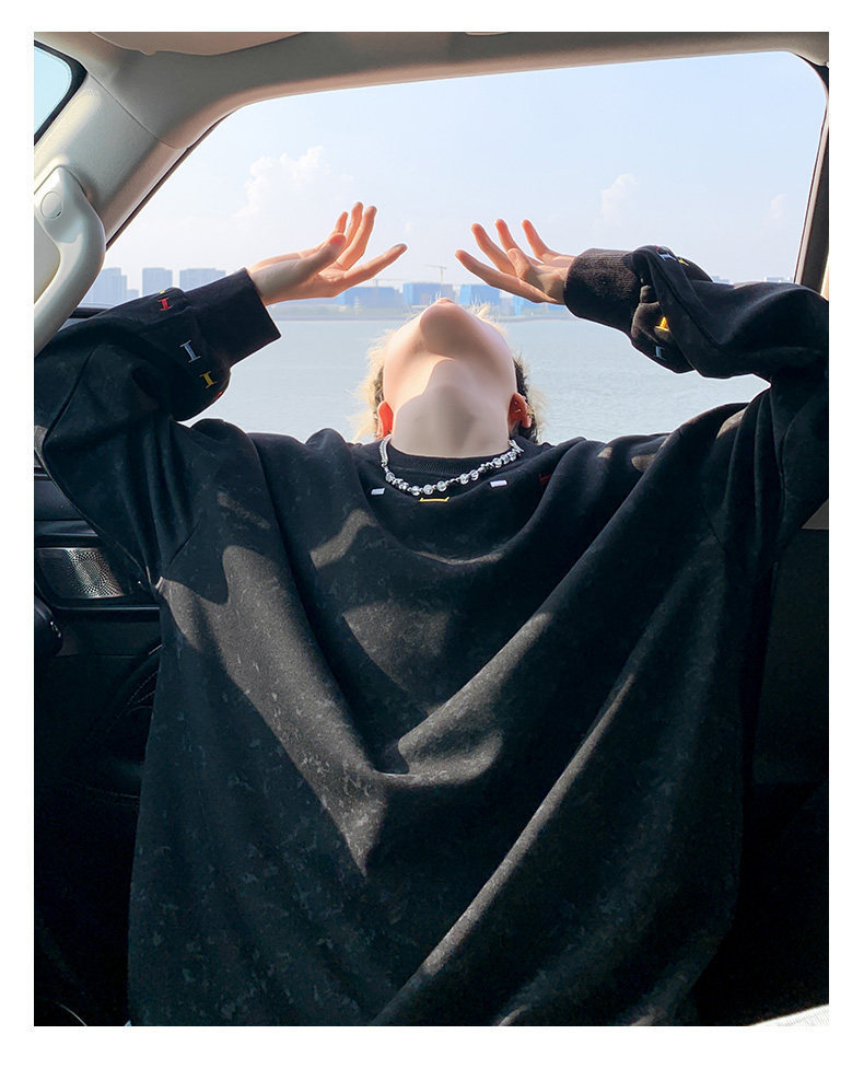 Embroidered Crew Neck Long Sleeve Pullover For Men Casual Top_voghion.com