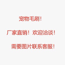 宠物毛刷