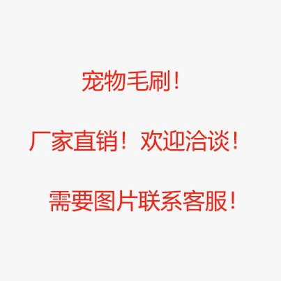 宠物毛刷