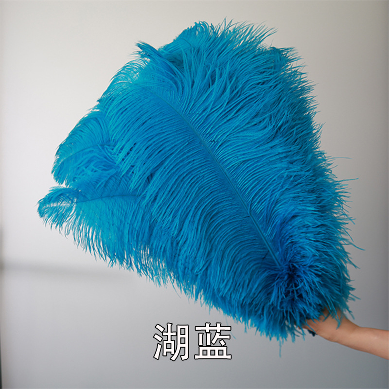 Fabricantes de pelaje de avestruz 50 - 55CM boda guía de la mesa flor de plumas de avestruz adornos de red pared roja plumas de espectáculo de escenario image 17