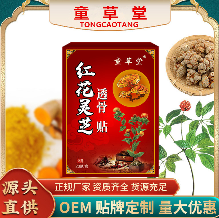 Honghua Lingzhi Tougu Patch Herbal Warming Body Patches for Neck Shoulder Waist and Legs 20 Patches per Box overview