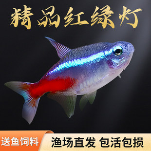 �t�G���~�Ꭷ�^�p�~�~������~С�~��ˮ�ͻ���BС�͌�ɏ����z�~