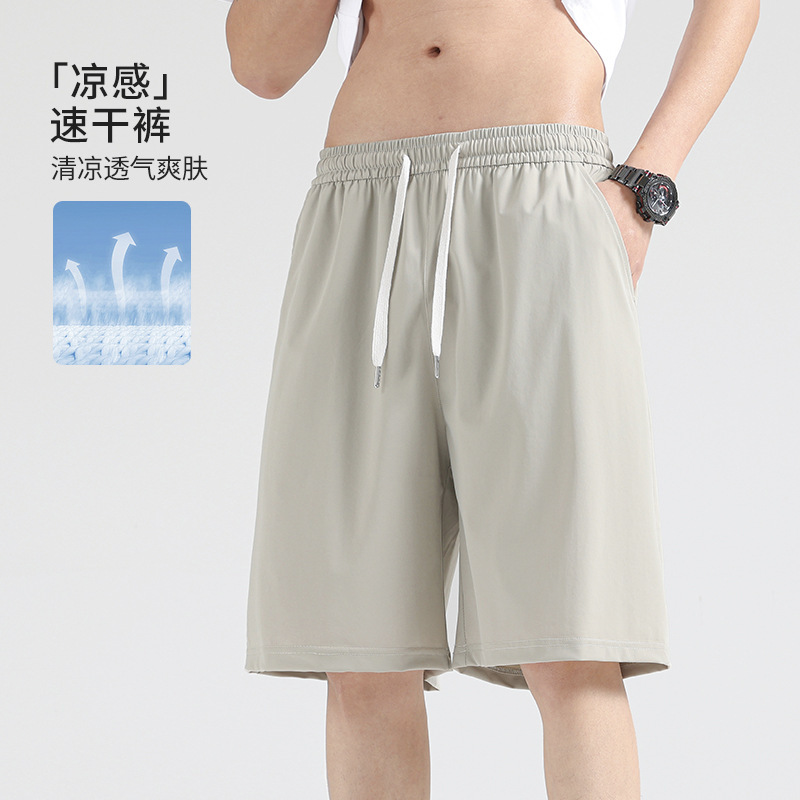 Ice Silk Quick-Drying Shorts Men's Summer New Straight Loose Thin Cool Men's Sports and Leisure Pants