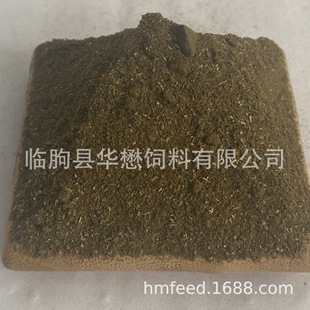 ������ѿ�� ���׾��� ơ���� �S�����ؙ���