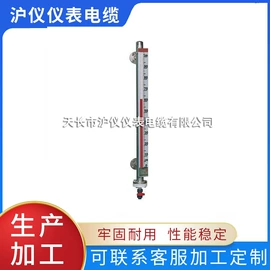 双金属温度计;磁翻板液位计;液位仪表