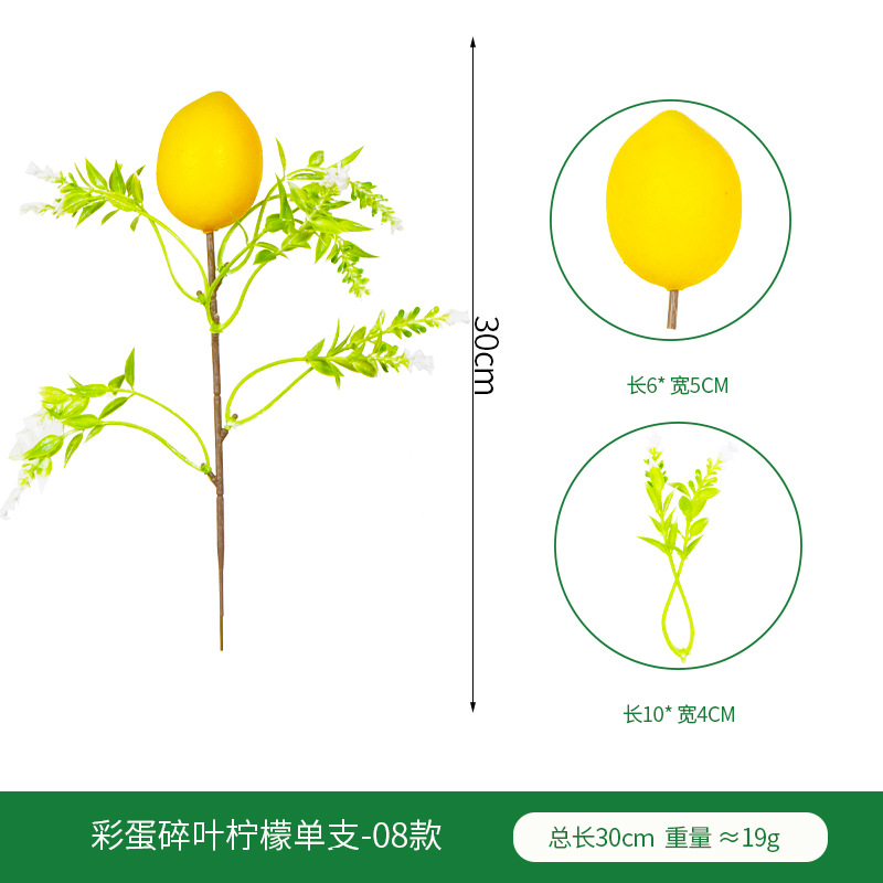 부활절 달걀 깨진 잎 레몬 단일 가지 08