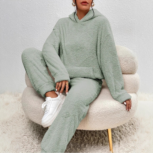 Autumn and winter new European and American casual women's clothing pure color plush hooded long-sleeved pantsuit