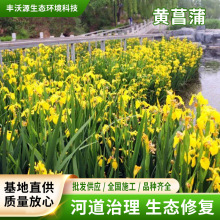 �S��ˮ���Sβ�S����С�糣�G����ˮ���ѳ����G��ֲ�����B���^�쾰