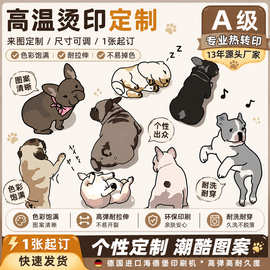 卡通动物烫画T恤热转印图案可爱童趣法斗服装烫图童装印花贴批发