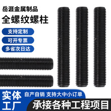 全螺纹螺柱8.8级发黑牙条全牙棒全碳钢通丝牙条牙杆高强度螺杆