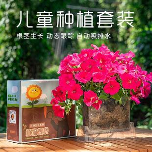 ��ͯ�NֲС����ֲ�ţ���N���׻��P�ɻ��N��̫ꖻ��^�����L���b