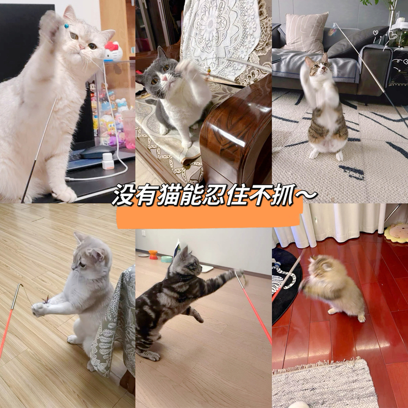 メーカー卸売猫面白いスティックロングロッドスプリング釣り猫インタラクティブ猫のおもちゃ交換ヘッド模擬小さな飛んでいる昆虫交換ヘッド|undefined