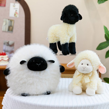 ����ϵ��ë�q��ż�ɐ��������п�ͨ�Ҿ��b[�������򻥄����