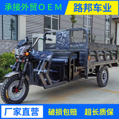 電動三輪車 外国貿易貨物三輪車 屋台三輪オートバイ 三輪電気自動車 オートバイ