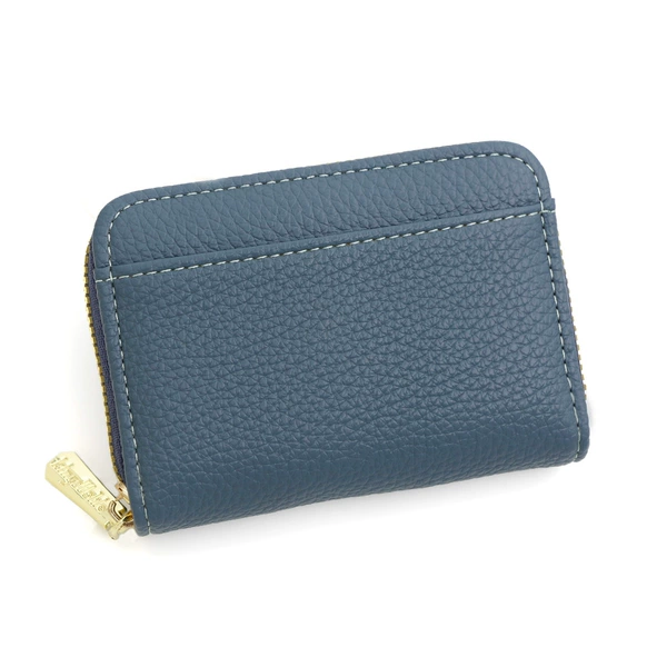 K95-48 blue
