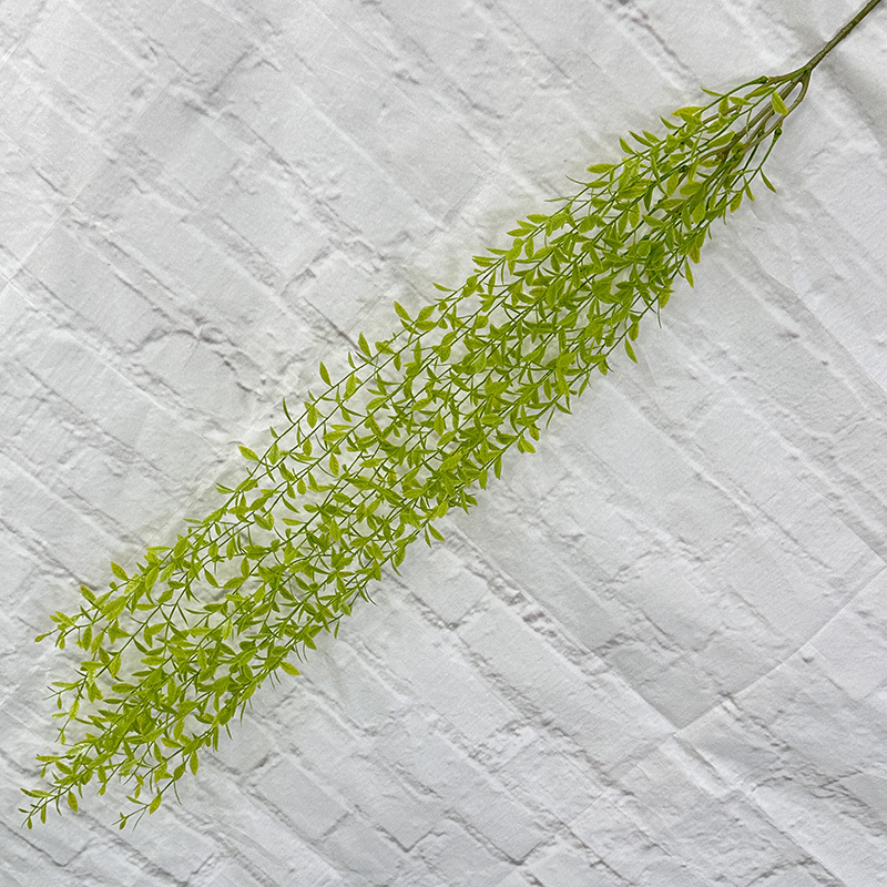 Large willow, light green.