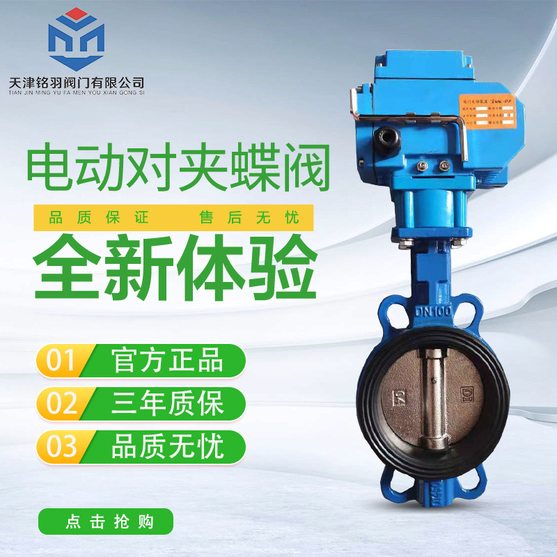 D971X 电动阀 电动蝶阀 衬胶电动对夹式蝶阀DN50 65 80 100--DN80