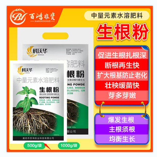 �����A����������ֲ��ͨ��������Ǥ���Ø�ľ�������������~���