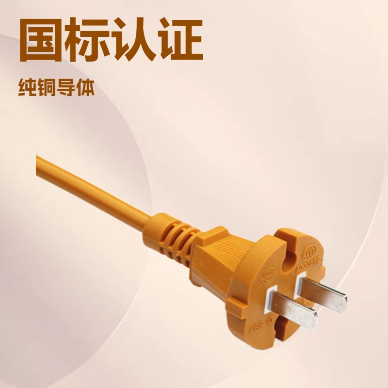 永睿线缆国标3C插头电源线 6安培两孔插头线 带开关电线 国标纯铜