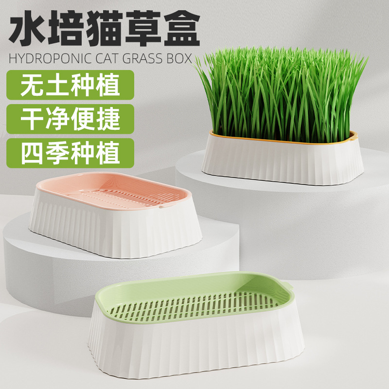New Hydroponic Cat Grass Box with Canned Cat Snacks Hydroponic Soilless Planting Cat Grass Pot Set Cat Grass Box Wholesale New Hydroponic Cat Grass Box with Canned Cat Snacks Hydroponic Soilless Planting Cat Grass Pot Set Cat Grass Box Wholesale
