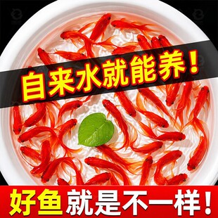 ���N�Pβ��t�ݽ��~С�\��������ˮ�^�p�~����B�ͻ��ԁ�ˮ��ˮ�~