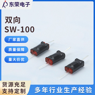 Double Direction Ball Switch Manufacturer Supplies Double Direction Tilt Ball Switch Sw-100 Two-Way Ball Switch