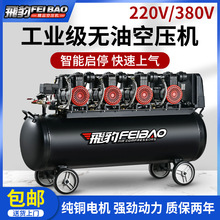 �w�����͟o���o���Չ��C220V���ʸ߉�����Ç����z��ʯ���b��