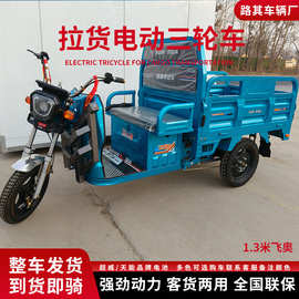 电三轮厂家批发农用货运三蹦子长续航三轮城乡拉货1米3电动三E18