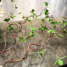 仿真绿植榕树叶藤枯树藤树枝干吊顶假花装饰藤条塑料藤蔓植物造景