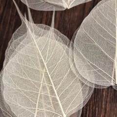 菩提葉脈天然工芸は葉の材料を貼り付けます。