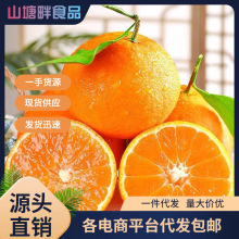 �����Ȑ���38̖�����Ȏ���9�����rˮ�����ٽ��ք�����һ�����l